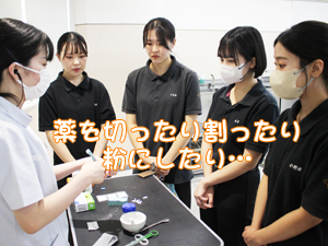 トリマー科も看護実習☆